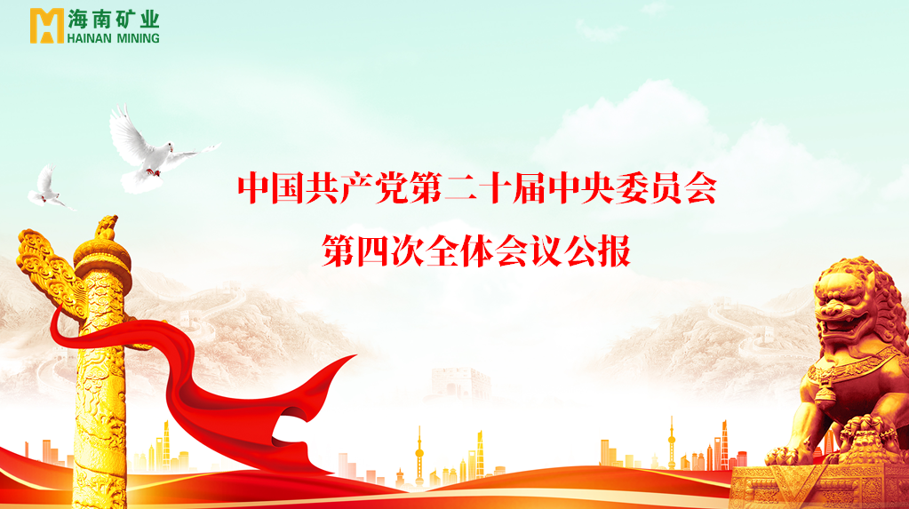 乐鱼网站党委学习贯彻党的二十届四中全会精神