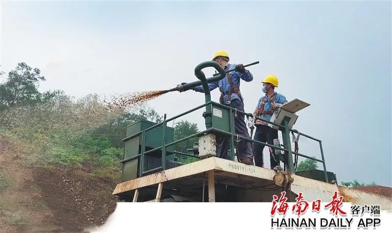 1717063454655015.jpg 海南这座矿山,为何这么绿?2.jpg